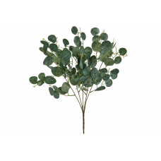 Евкаліпт Популус (Populus), H62см, колір - зелений