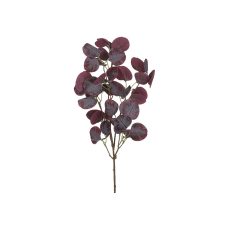 Евкаліпт Популус (Populus), H62см, колір - пурпурний
